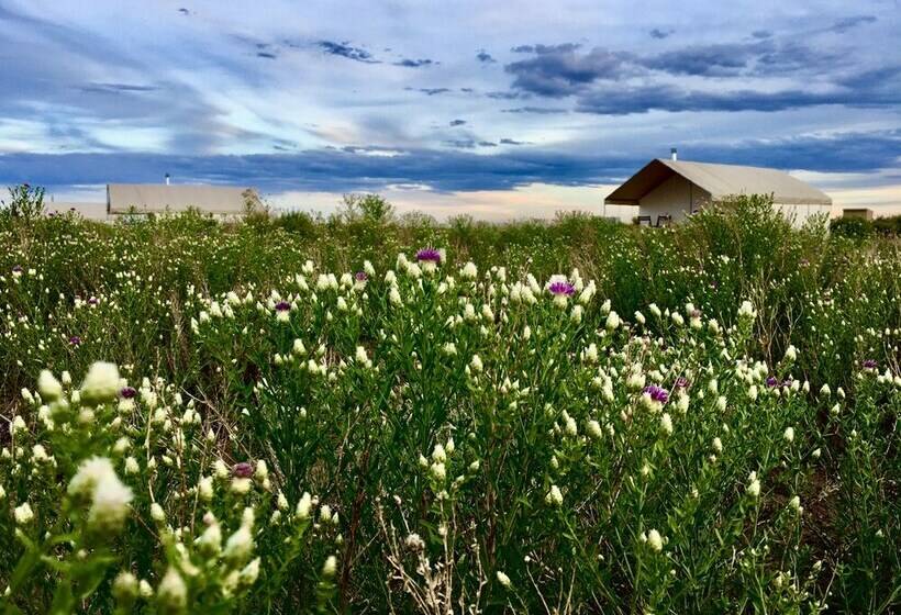كوخ ديلوكس, Rustic Rook Resort Great Sand Dunes