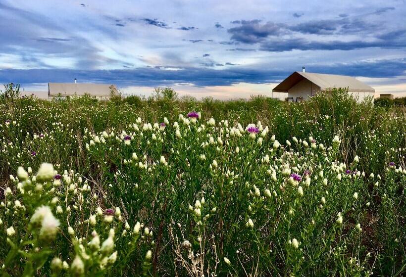 كوخ ديلوكس, Rustic Rook Resort Great Sand Dunes
