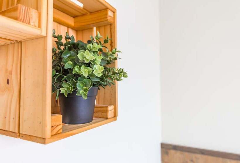 Comfort-huone, Cozy Green Guest House