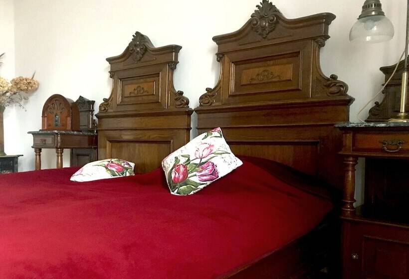 豪华房间, Willa Wiluszówka