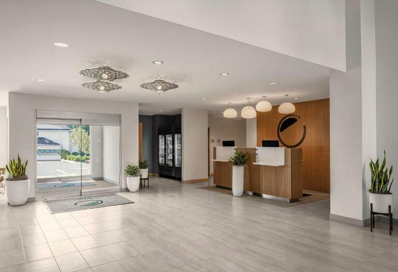 اتاق استاندارد با تخت بزرگ, Element Asheville Downtown