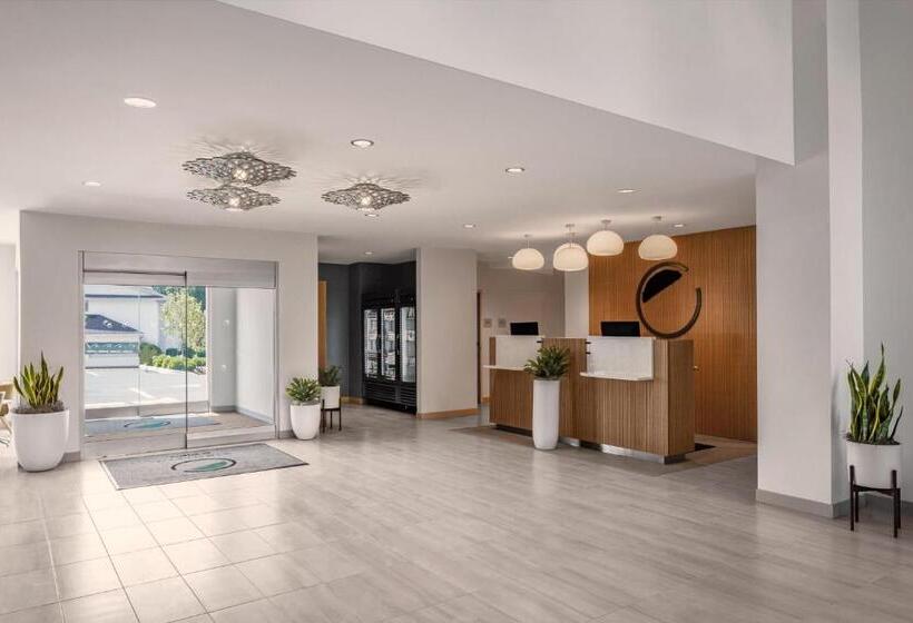 سوئیت با تخت بزرگ, Element Asheville Downtown