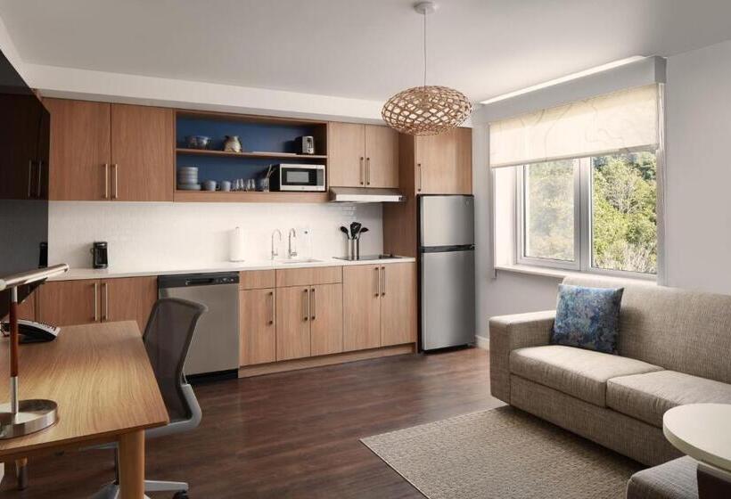 سوئیت با تخت بزرگ, Element Asheville Downtown