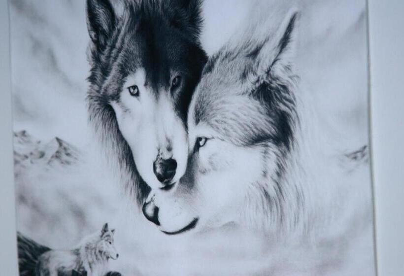 スタンダードルーム, Oasis Wadaura