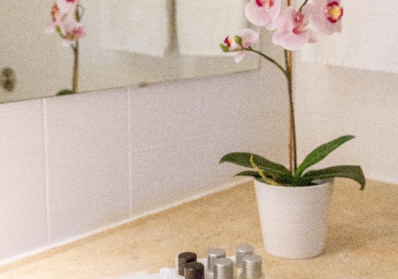 带1个卧室的公寓, Luna Olympus