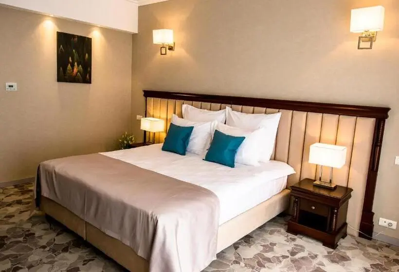 اتاق لوکس, Carpat Inn
