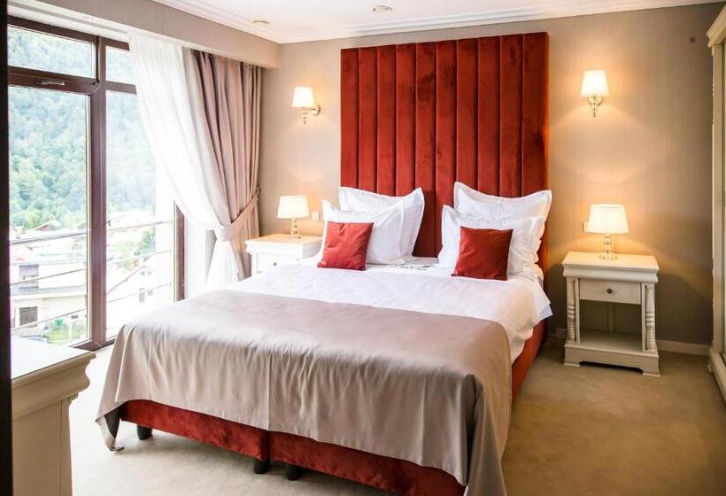 דירת חדר דלוקס, Carpat Inn