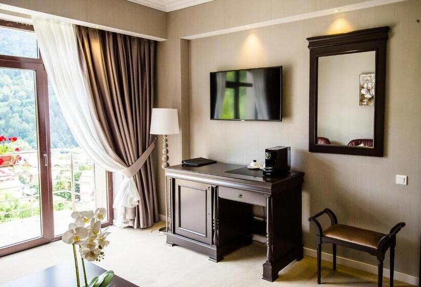 דירת חדר דלוקס, Carpat Inn