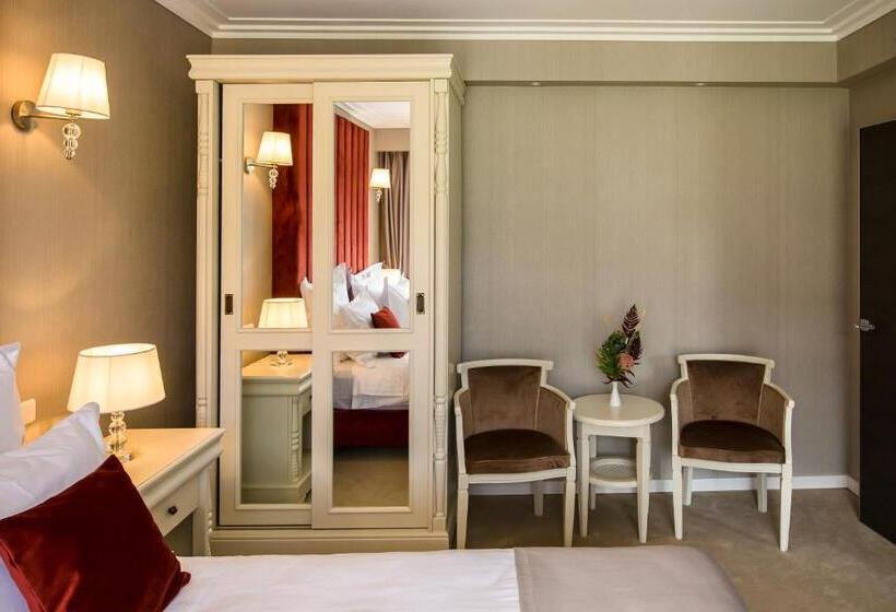 דירת חדר דלוקס, Carpat Inn