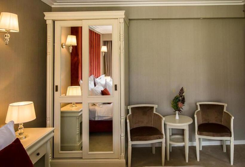 דירת חדר דלוקס, Carpat Inn