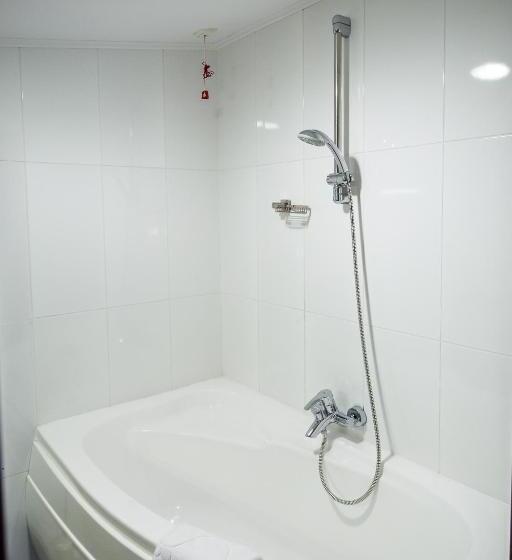 דירת חדר, Carpat Inn