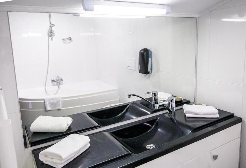 דירת חדר, Carpat Inn