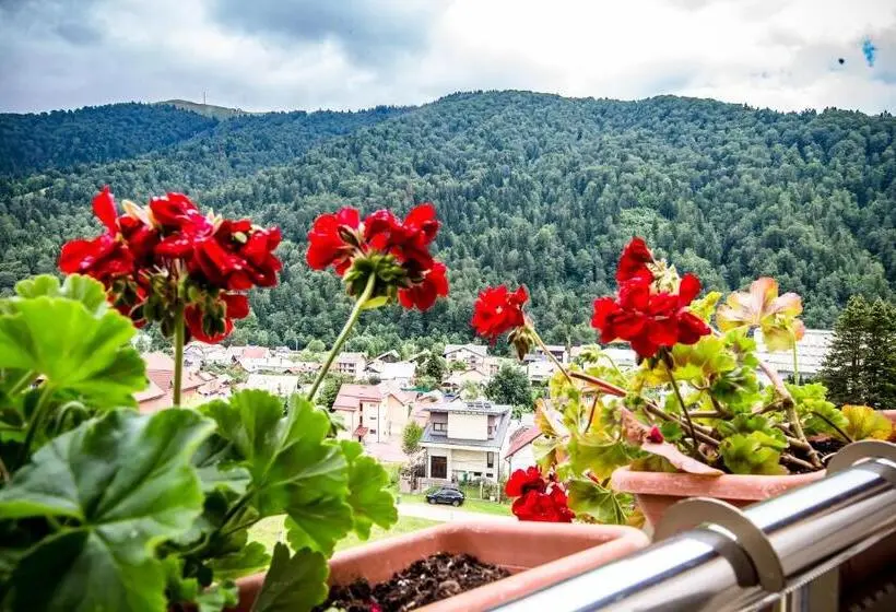 آپارتمان 1 خوابه, Carpat Inn