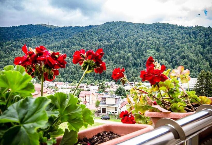 דירת חדר דלוקס, Carpat Inn