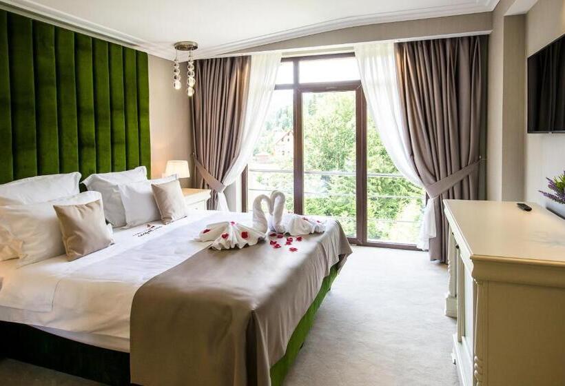 דירת חדר דלוקס, Carpat Inn