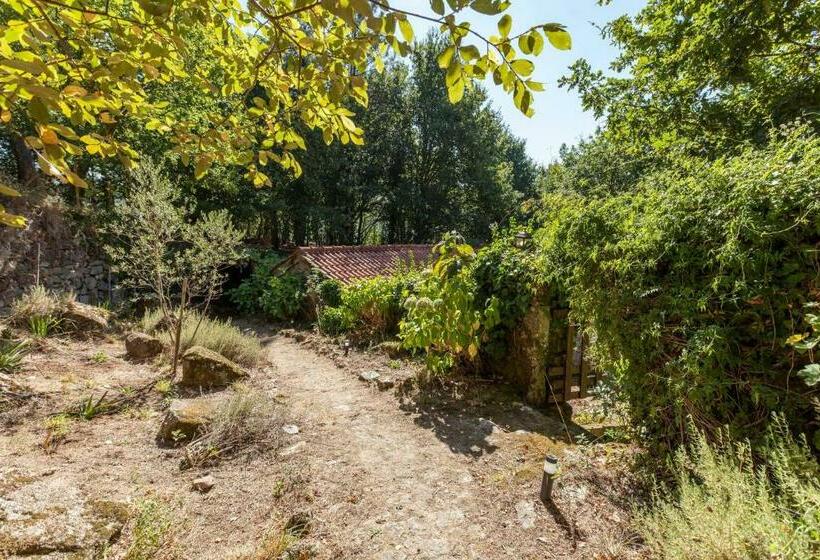 Дом 1 Спальня, Forest House Casinha Do Carvalhal
