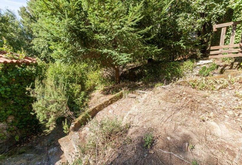 Дом 1 Спальня, Forest House Casinha Do Carvalhal