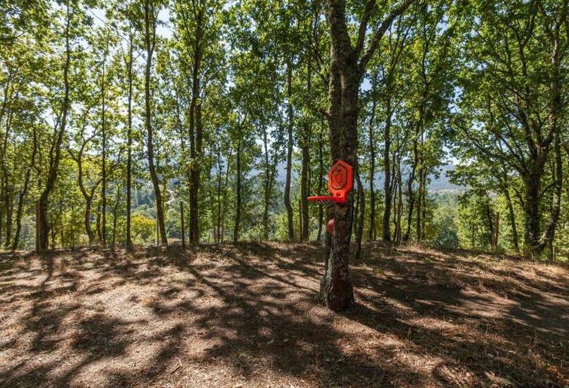 Дом 1 Спальня, Forest House Casinha Do Carvalhal