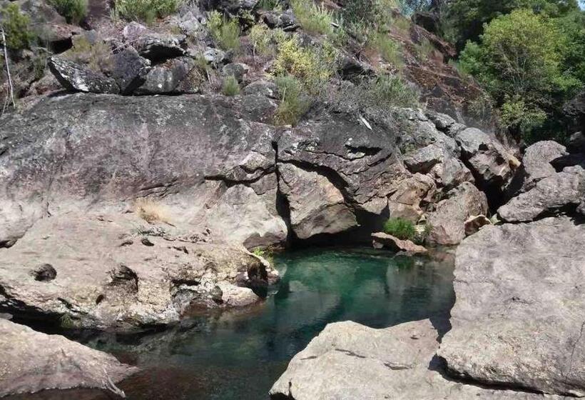 Дом 1 Спальня, Forest House Casinha Do Carvalhal