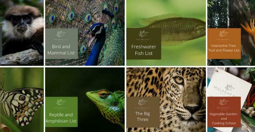 别墅: 1间卧室带游泳池, Malabar Hill