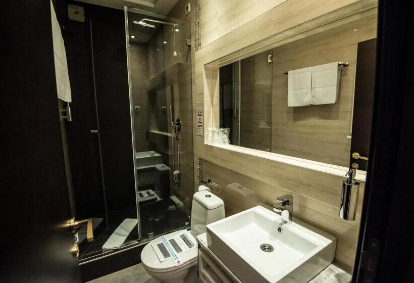 اتاق استاندارد, Centrum Sobe Rooms čačak