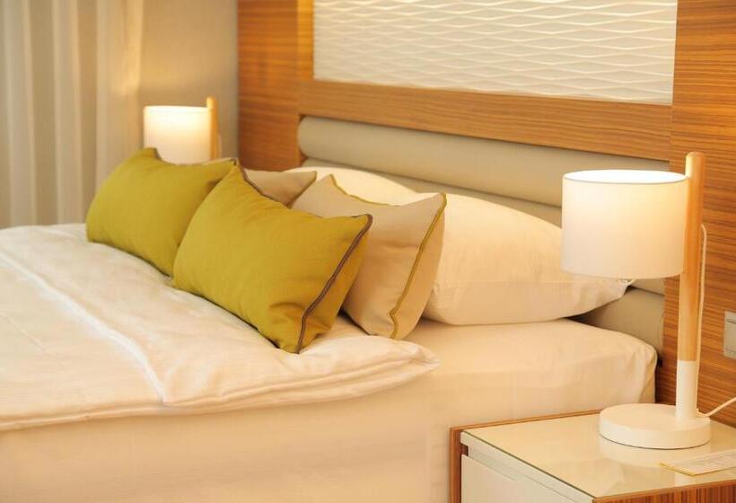 חדר סטנדרט נוף להרים, Evimiz