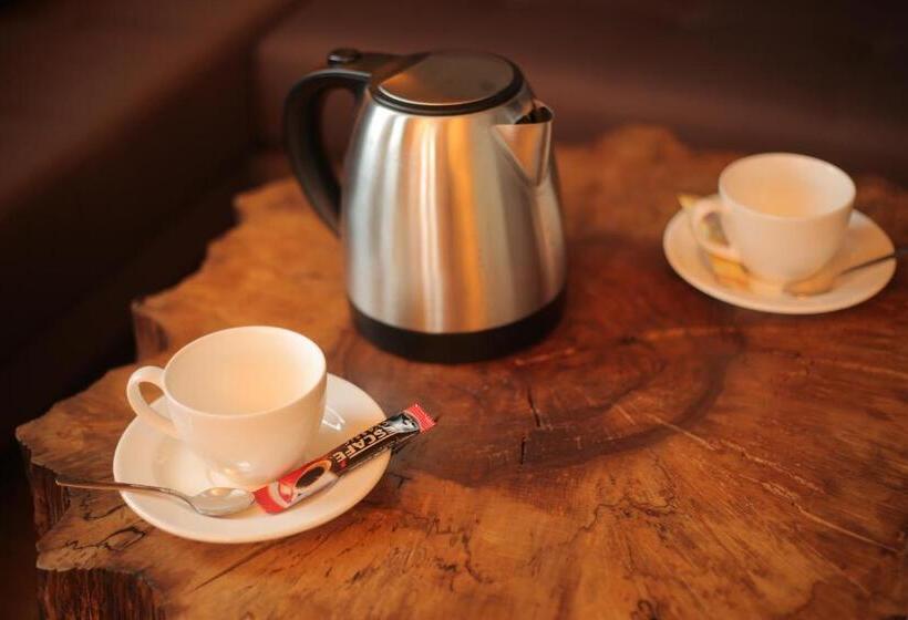 חדר סטנדרט יחיד, Evimiz