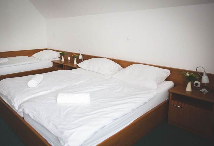 اتاق استاندارد سه نفره, Tisa