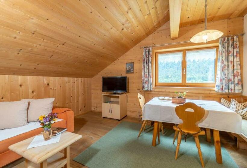 آپارتمان 1 خوابه با چشمانداز, Forsthaus Schoppernau