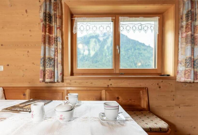 آپارتمان 1 خوابه با چشمانداز, Forsthaus Schoppernau