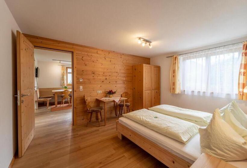 آپارتمان 1 خوابه با چشمانداز باغ, Forsthaus Schoppernau