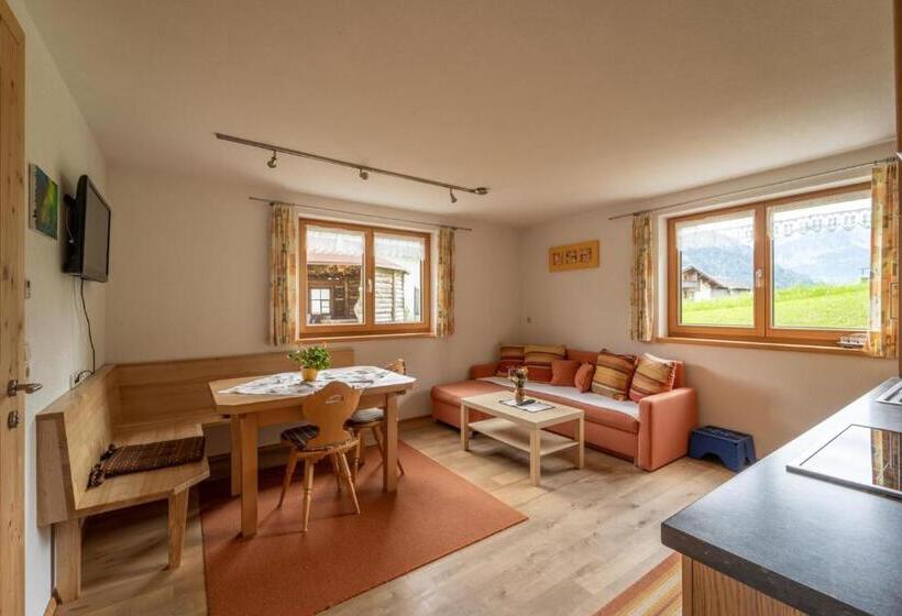 آپارتمان 1 خوابه با چشمانداز باغ, Forsthaus Schoppernau