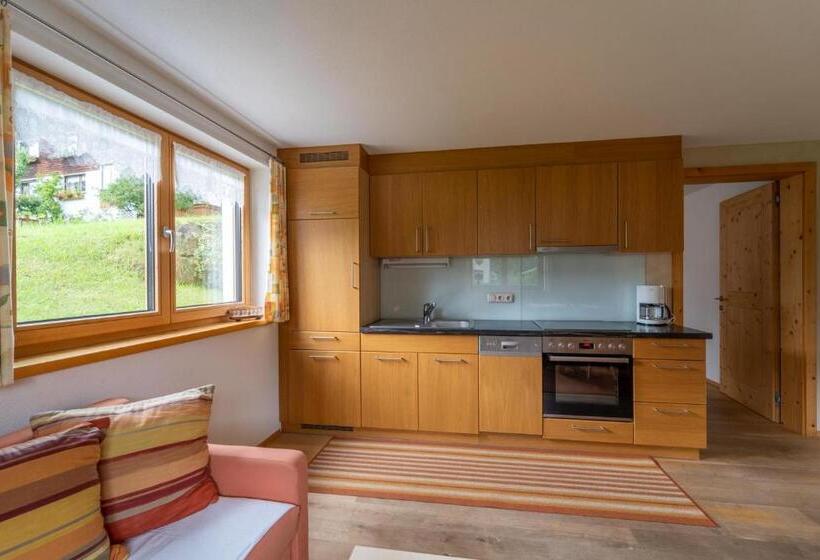 آپارتمان 1 خوابه با چشمانداز باغ, Forsthaus Schoppernau