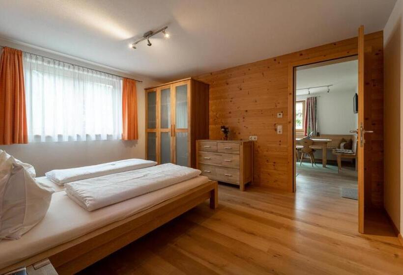 آپارتمان 1 خوابه, Forsthaus Schoppernau