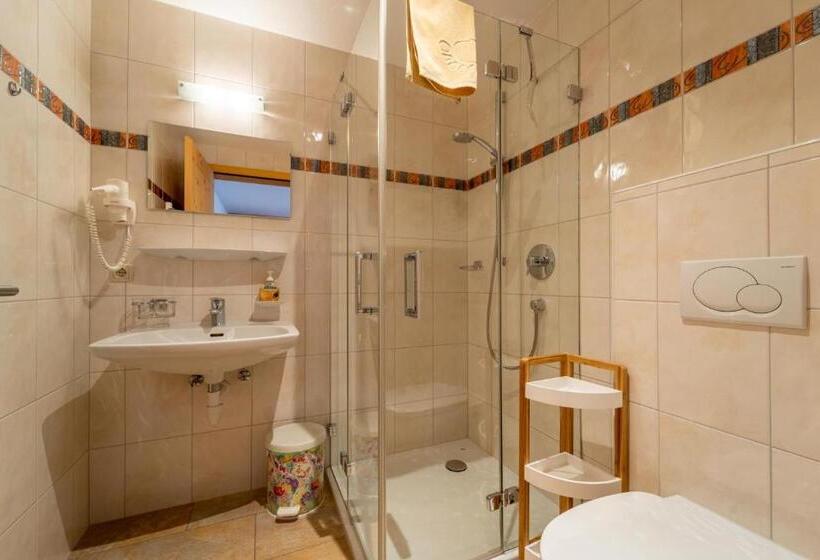 آپارتمان 1 خوابه, Forsthaus Schoppernau