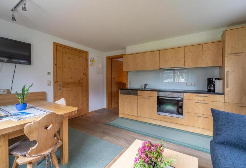 آپارتمان 1 خوابه, Forsthaus Schoppernau