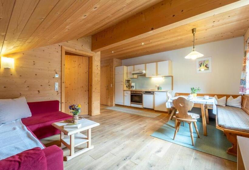 آپارتمان 1 خوابه, Forsthaus Schoppernau