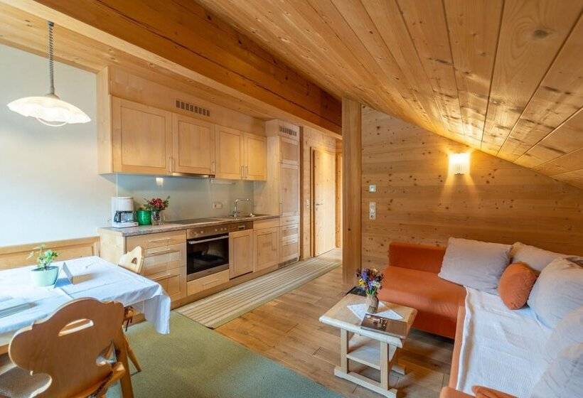 آپارتمان 1 خوابه, Forsthaus Schoppernau