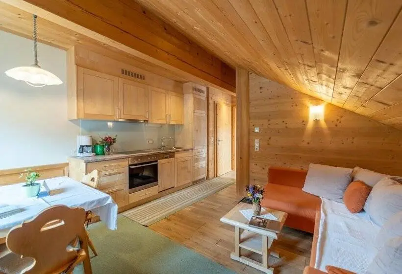 １ベッドルームアパートメント, Forsthaus Schoppernau