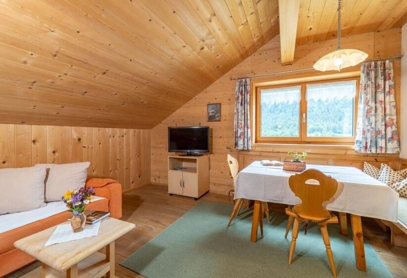 آپارتمان 1 خوابه, Forsthaus Schoppernau