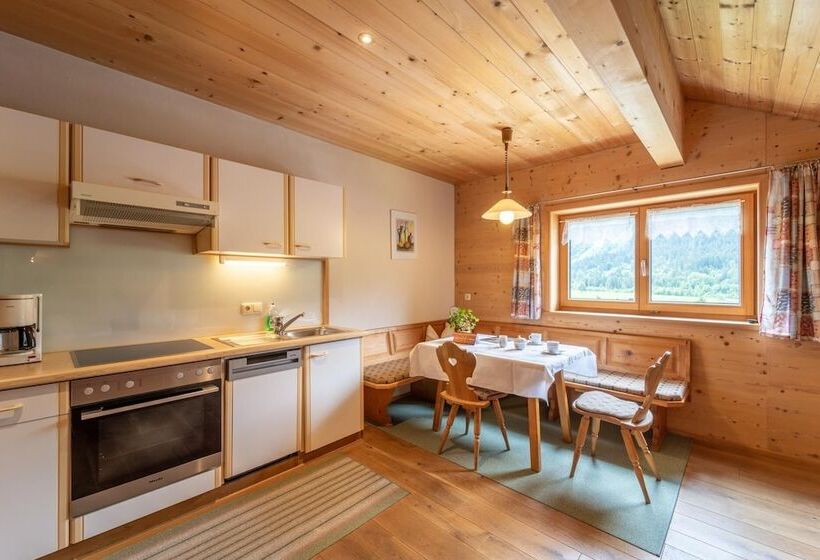 آپارتمان 1 خوابه, Forsthaus Schoppernau