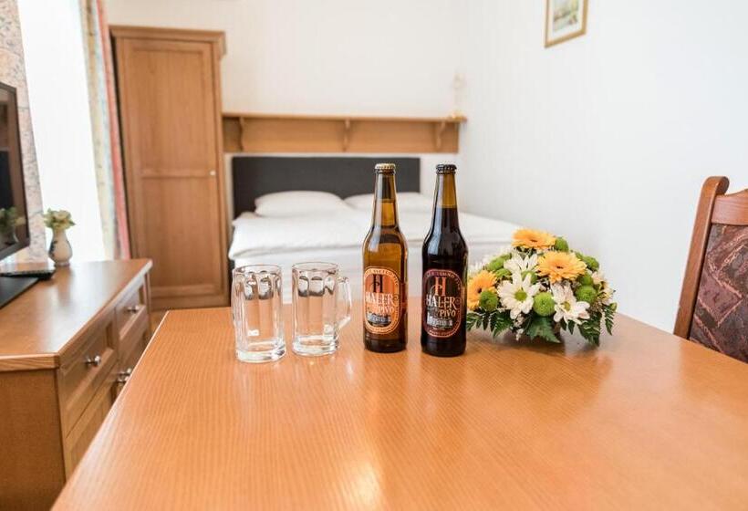 آپارتمان 1 خوابه با تراس, Guesthouse Haler