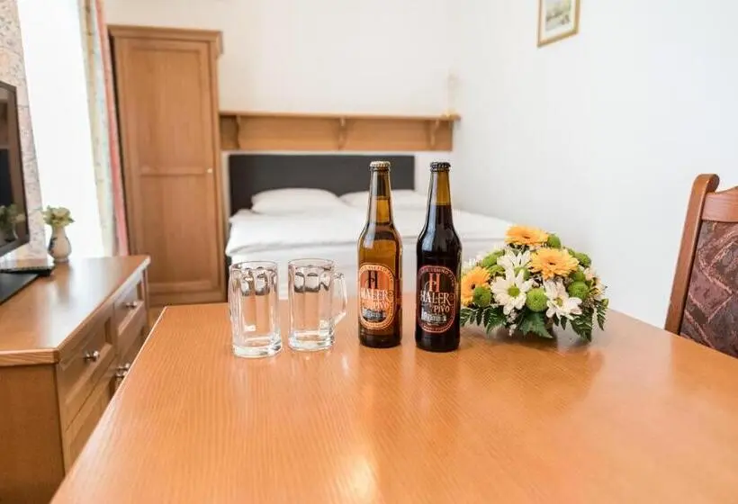آپارتمان 1 خوابه با تراس, Guesthouse Haler