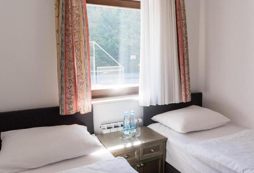 آپارتمان 1 خوابه با تراس, Guesthouse Haler