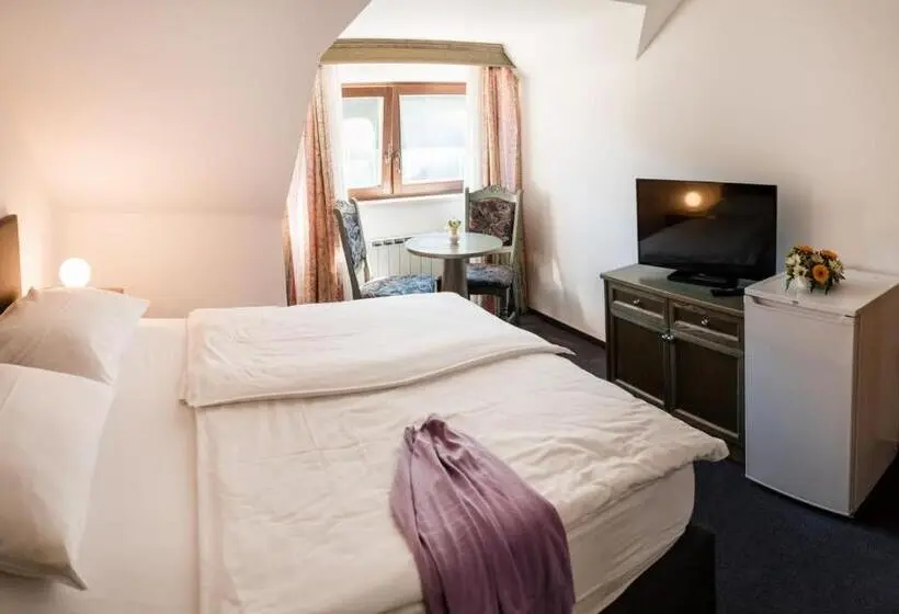 اتاق استاندارد یک نفره, Guesthouse Haler