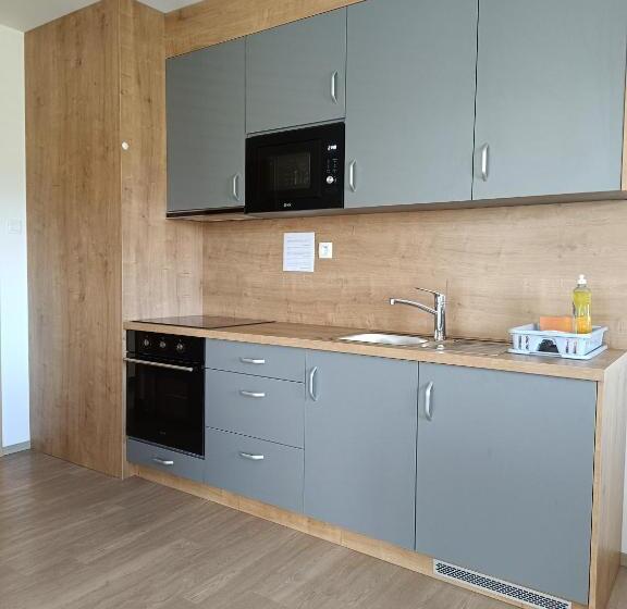 آپارتمان 2 خوابه با بالکن, Guesthouse Haler