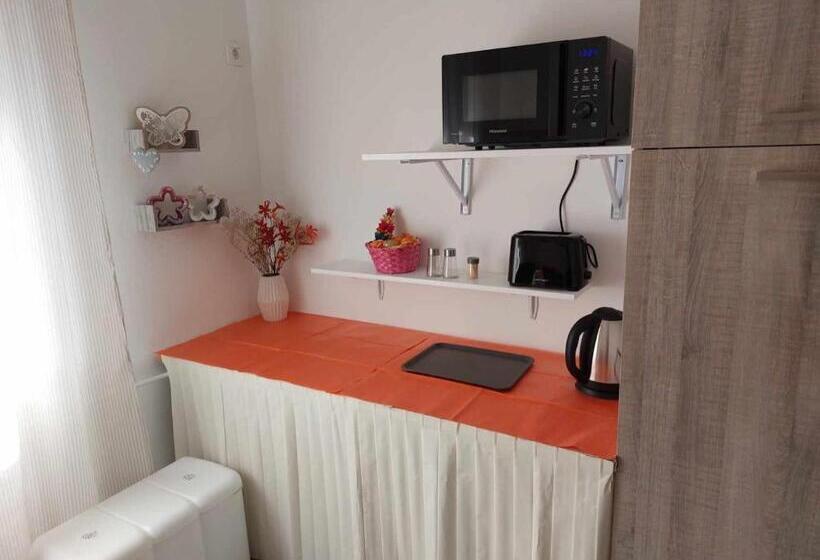 اتاق استاندارد با بالکن, Guesthouse Ob Sotočju Budič
