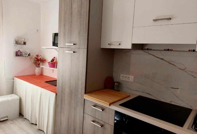 اتاق استاندارد سه نفره, Guesthouse Ob Sotočju Budič