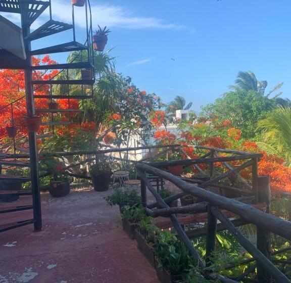 テラス付きジュニアスイート, Casa Caribe Cancun