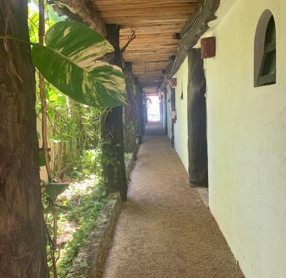 バルコニー付き１ベッドルームアパートメント, Casa Caribe Cancun